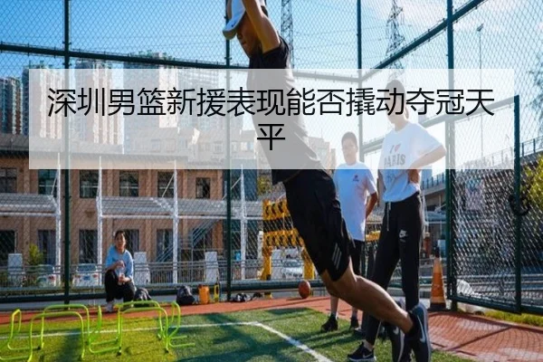 深圳男篮新援表现能否撬动夺冠天平（jiuyou）